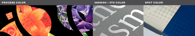 offset printing, varnish, spot colors, 4c process printing